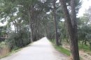 Promenade de la Garenne
